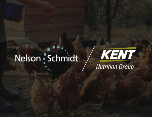 KENT NUTRITION GROUP NAMES NELSON SCHMIDT INC. AGENCY OF RECORD